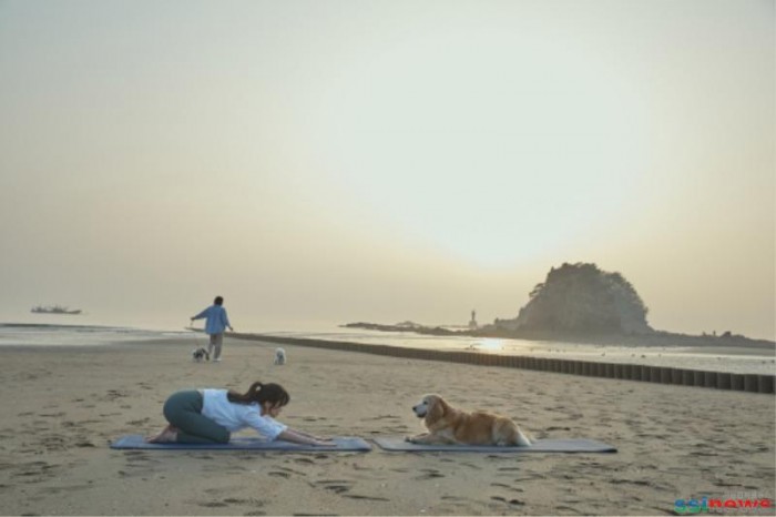 꽃지해수욕장 우수해수욕장 선정 2(도가, dog yoga).jpg